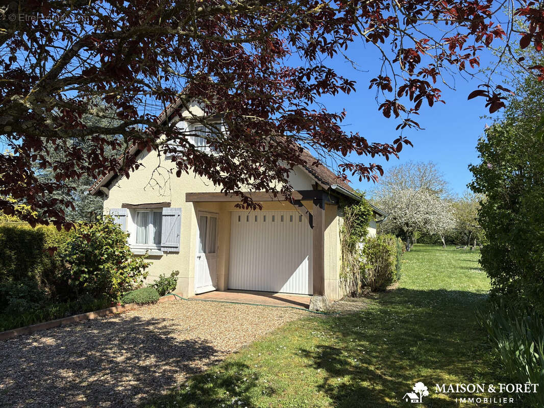 Maison à OUZOUER-SUR-TREZEE