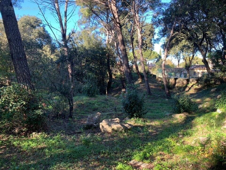 Terrain à MARTIGUES
