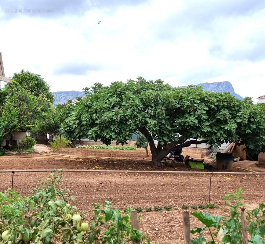 Terrain à LA VALETTE-DU-VAR