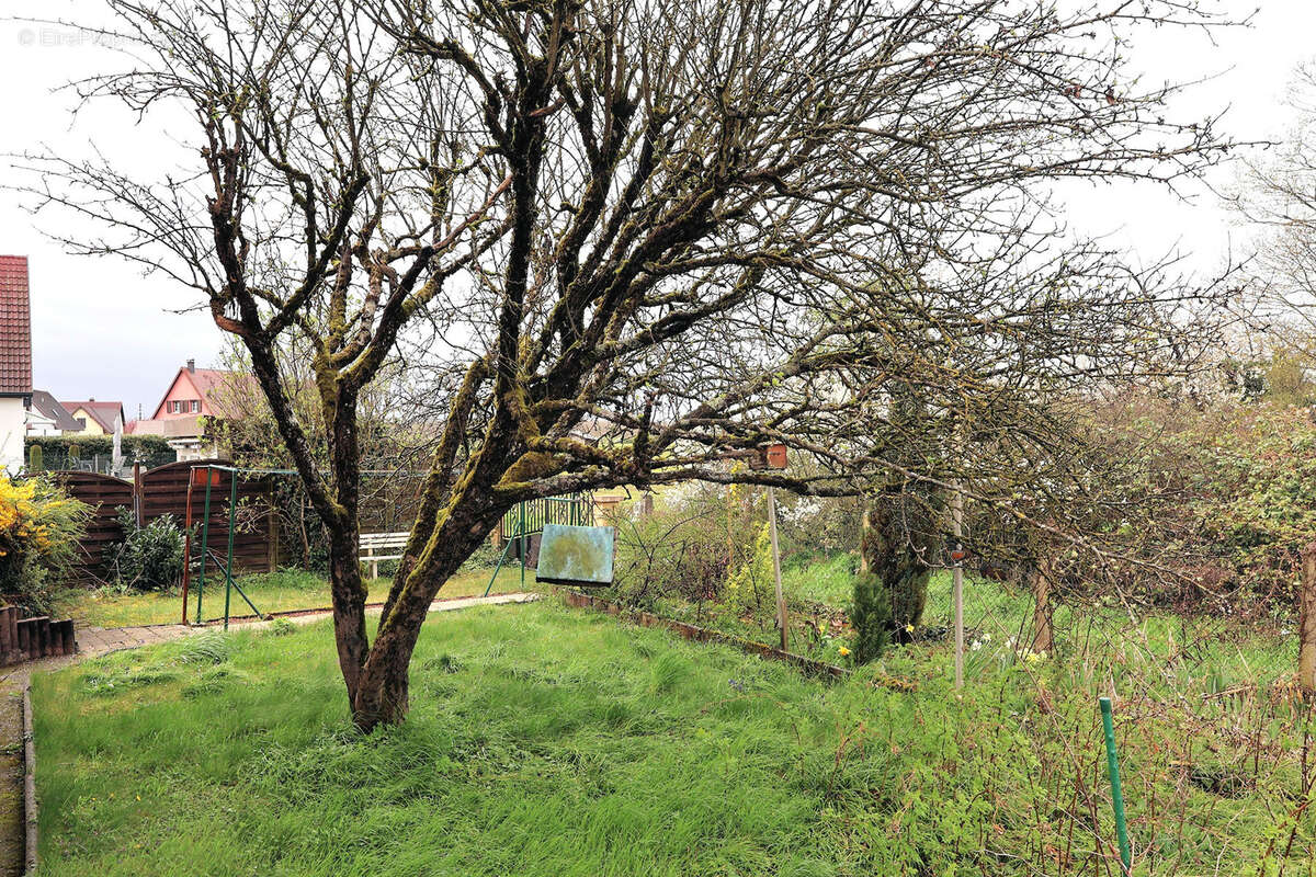 Maison à SAINT-LOUIS