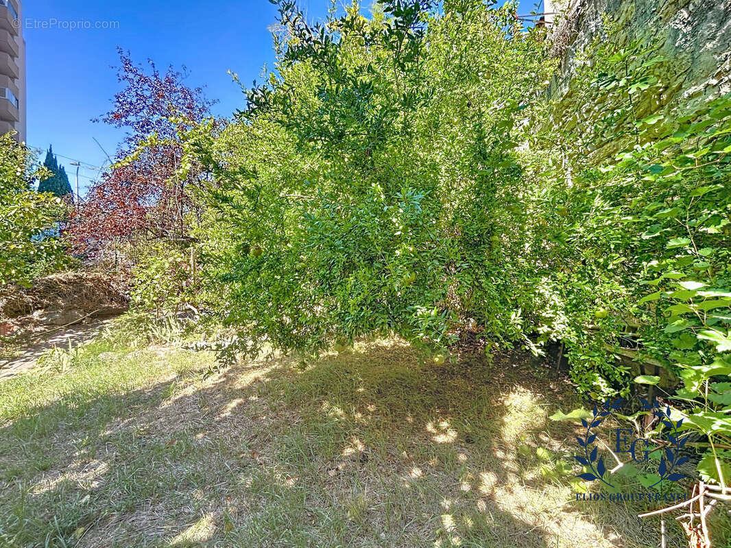 Maison à MONTPELLIER