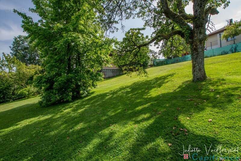LA MOTTE SERVOLEX (73290) : Terrain de 1180 m², non viabilisé - photo 4