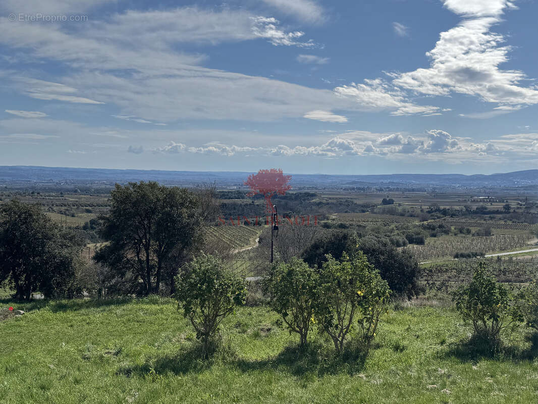 Terrain à ARBORAS