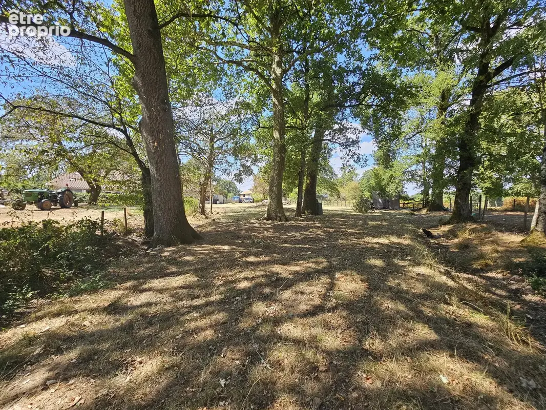 Propriété de caractère avec plus d'un hectare de terrain – Une opportunité de style de vie rare - photo 14