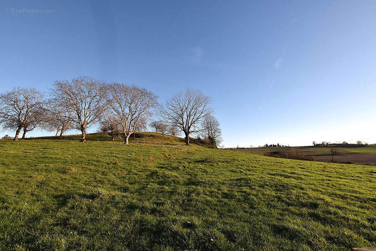 Maison à SAINT-GERAND-LE-PUY