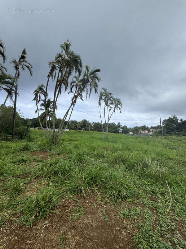 Terrain à CAPESTERRE-BELLE-EAU