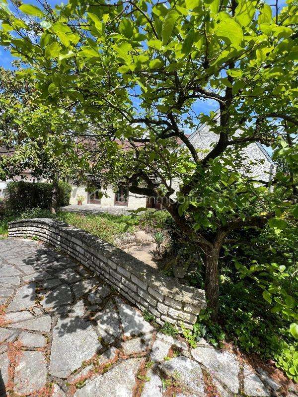 Maison à DAMMARIE-LES-LYS