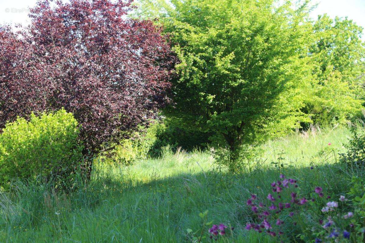 Maison à SAINT-DIDIER-SUR-ARROUX