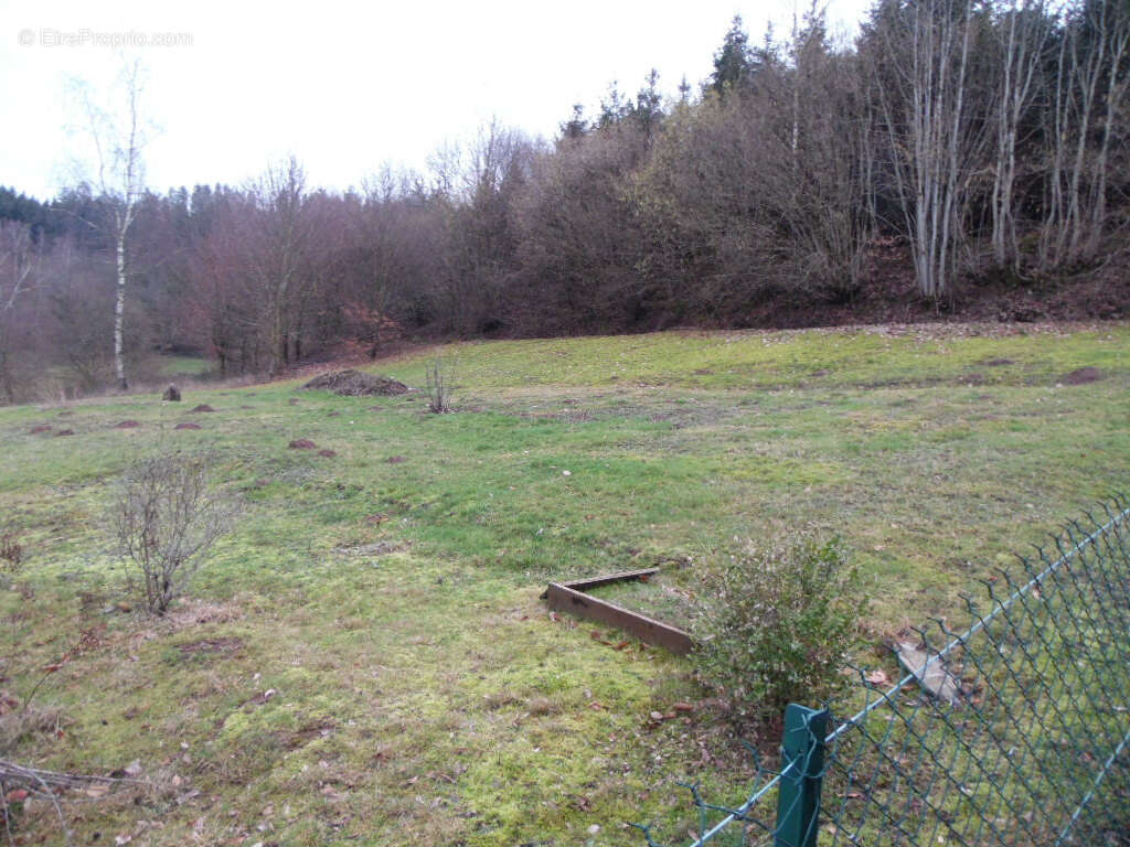 Terrain à SENONES