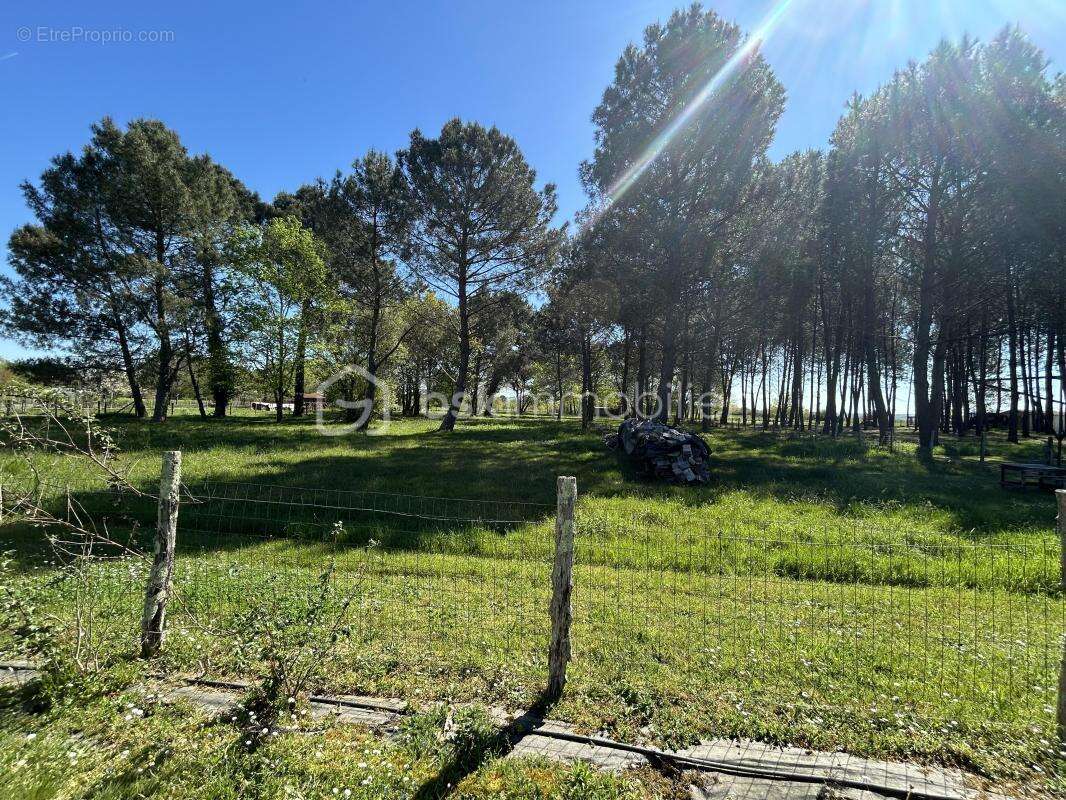 Maison à SAINT-AIGULIN