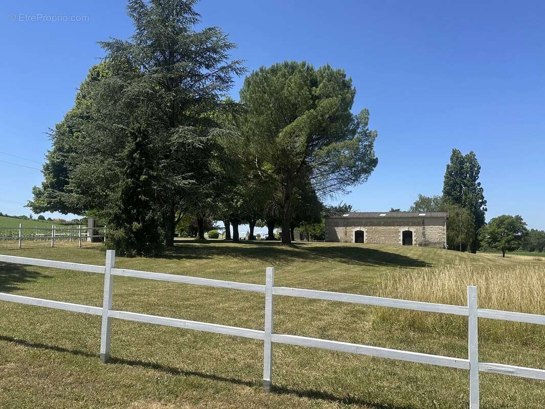 Belle maison de 5 chambres, dépendances et piscine sans voisins - photo 19