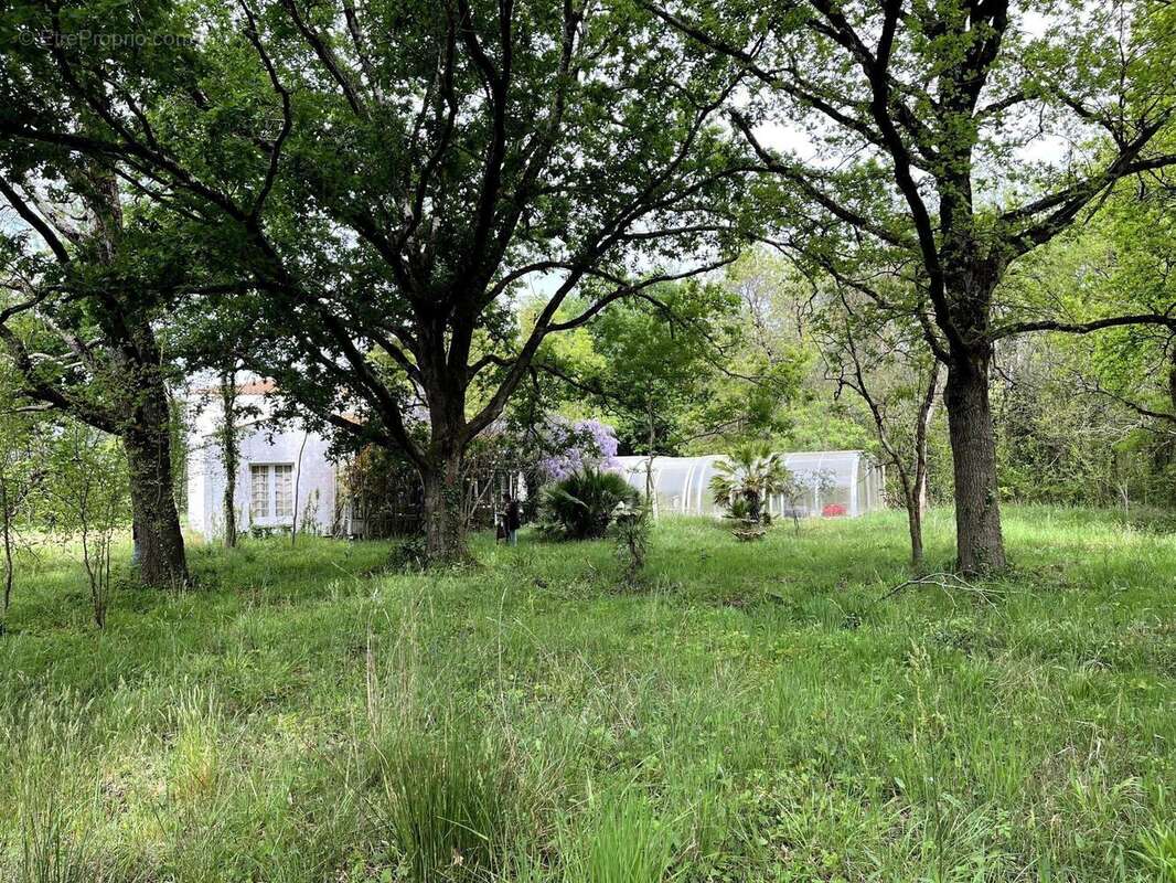 Photo 5 - Maison à LE CHATEAU-D&#039;OLERON