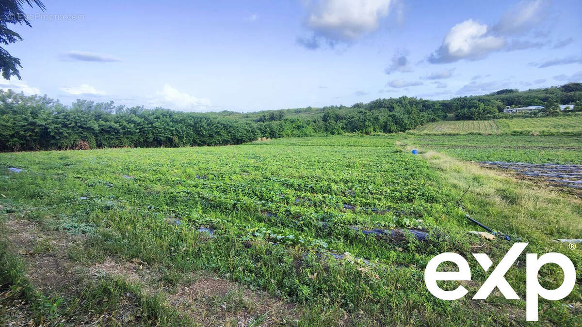 Terrain à LE VAUCLIN