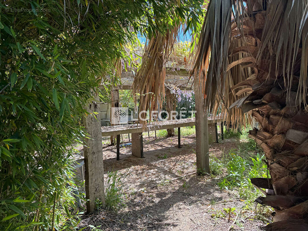 Terrain à SAINT-CYPRIEN