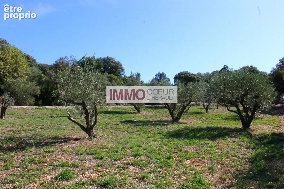 Proche de gignac propriété d'exception  plus d'1 hectare  villa + gîtes + piscine + hangar - photo 13