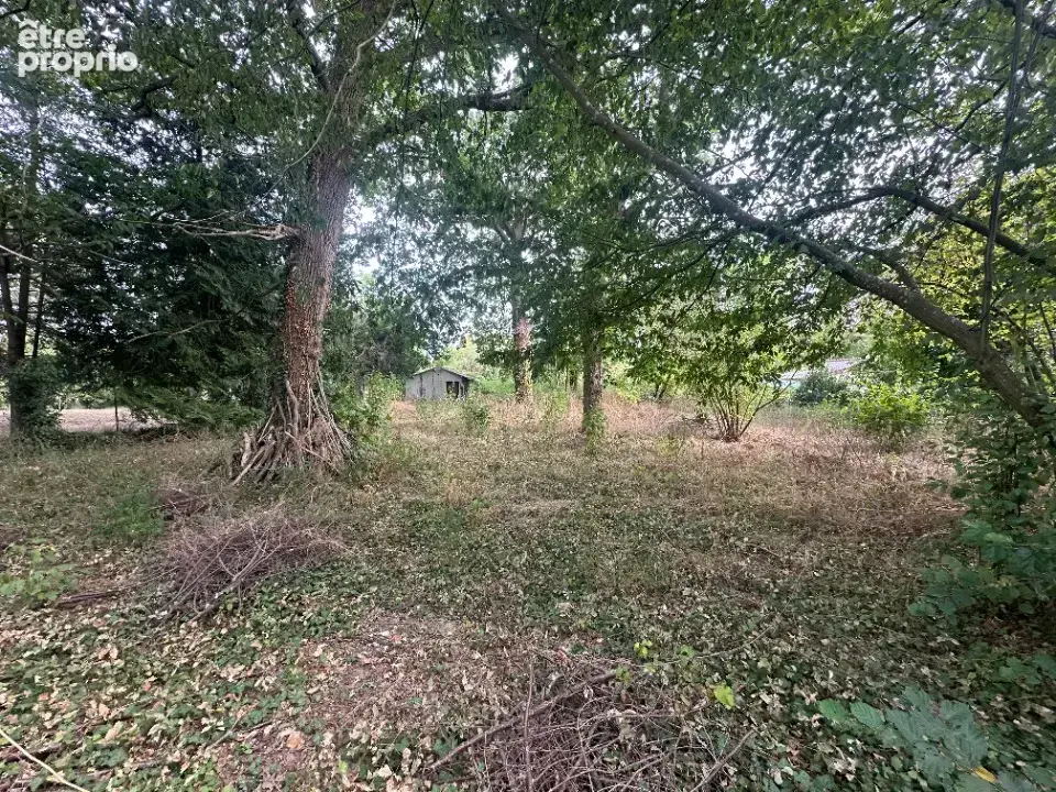 Terrain 976 m² à vendre à Congis-Sur-Therouanne (77440) - photo 2