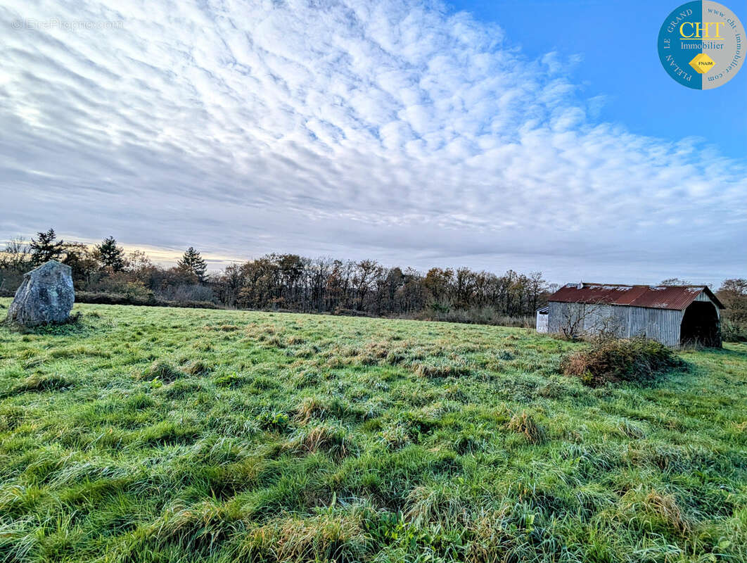 Terrain à MONTENEUF