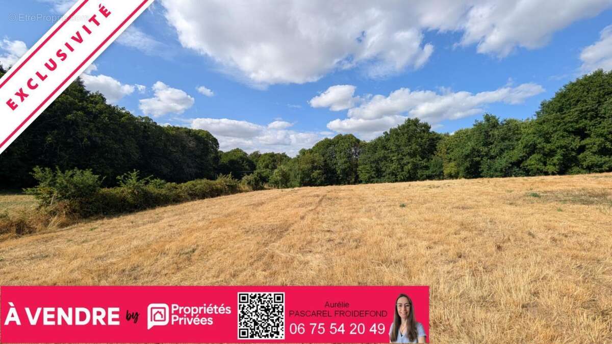EXCLUSIVITE - Terrain à bâtir d'environ 8900m² - Secteur Hippodrome Pompadour (19230) - photo 5
