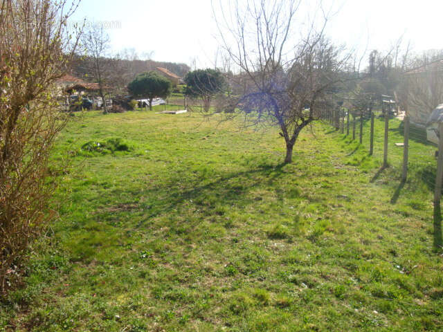 Terrain à COUZEIX