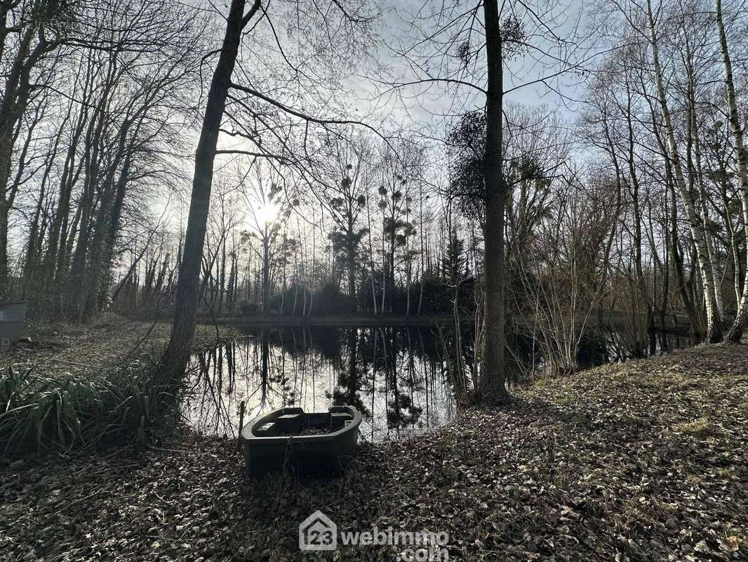 Ils disposent d'une hauteur d'environ 1m80 - Terrain à PRESLES-ET-THIERNY