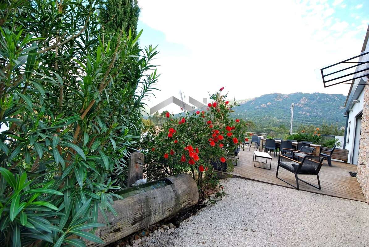 Maison à PORTO-VECCHIO