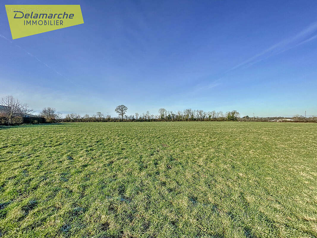 Terrain à MONTMARTIN-SUR-MER