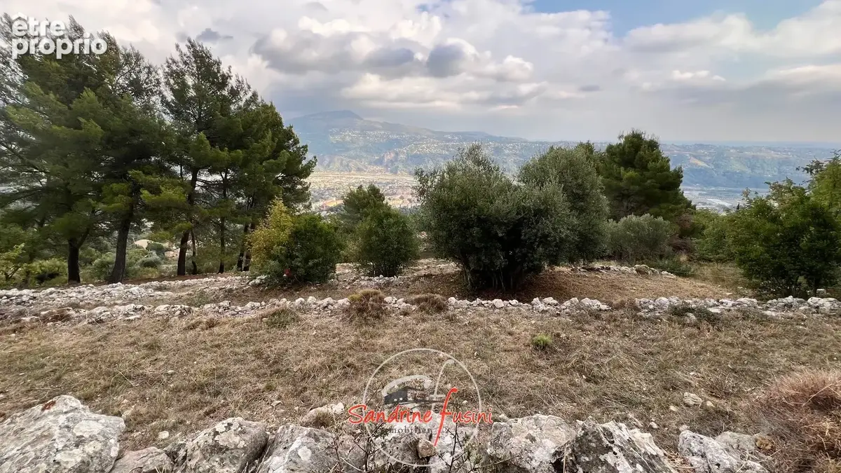Terrain 1238 m2 - photo 3