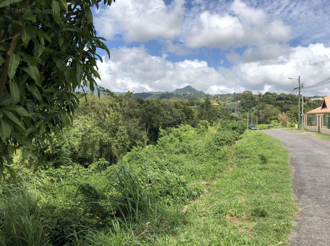 Terrain à SCHOELCHER