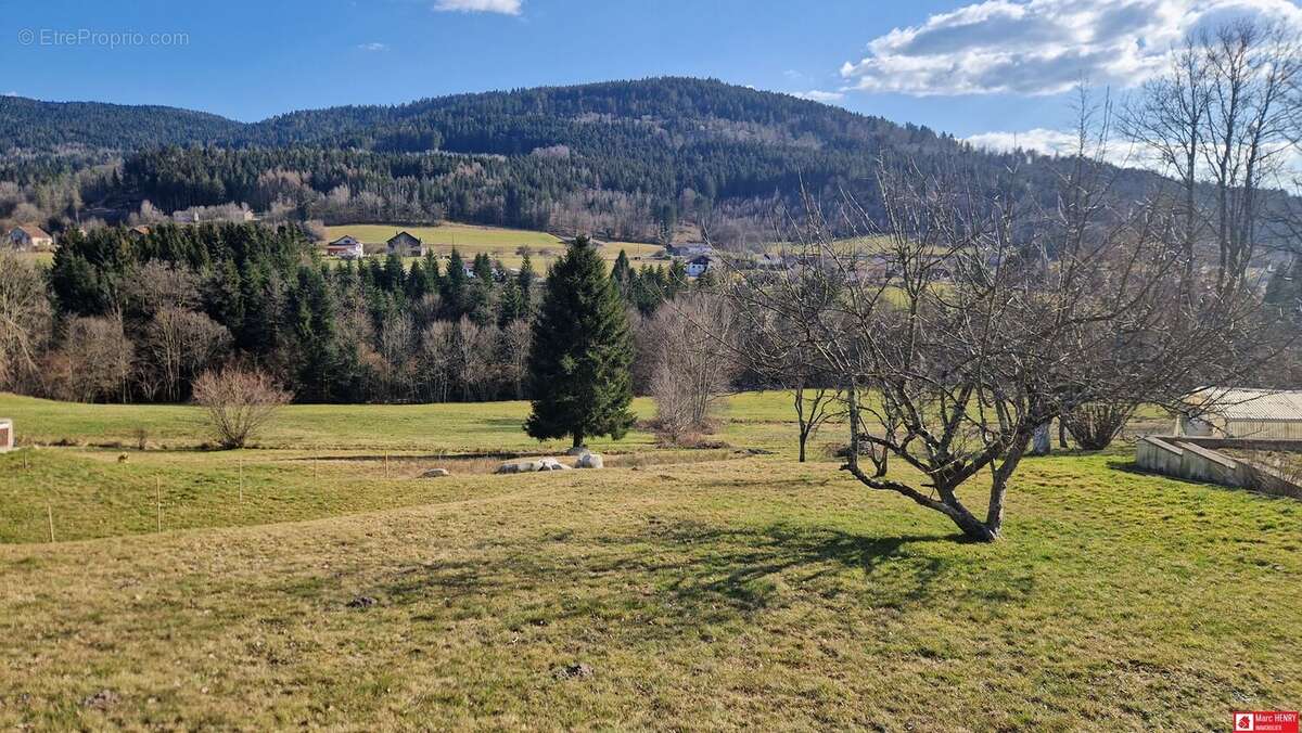 Terrain 1165 m² à Cleurie  - photo 3