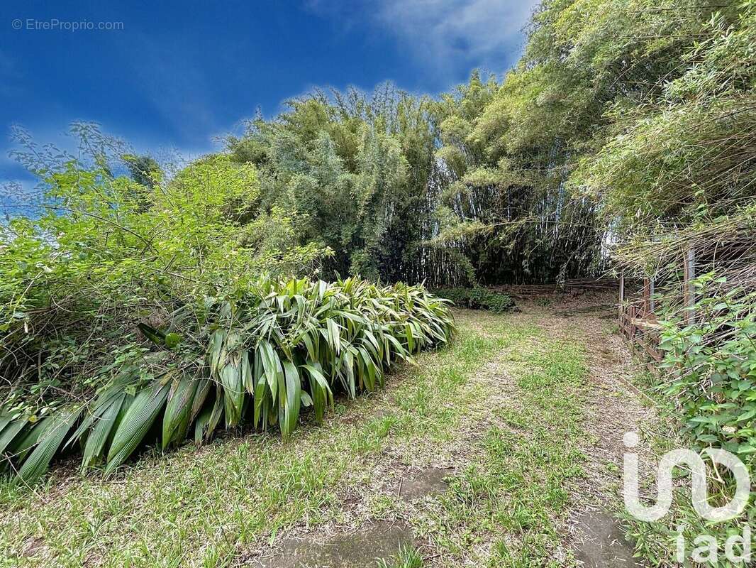 Photo 3 - Terrain à SAINT-DENIS