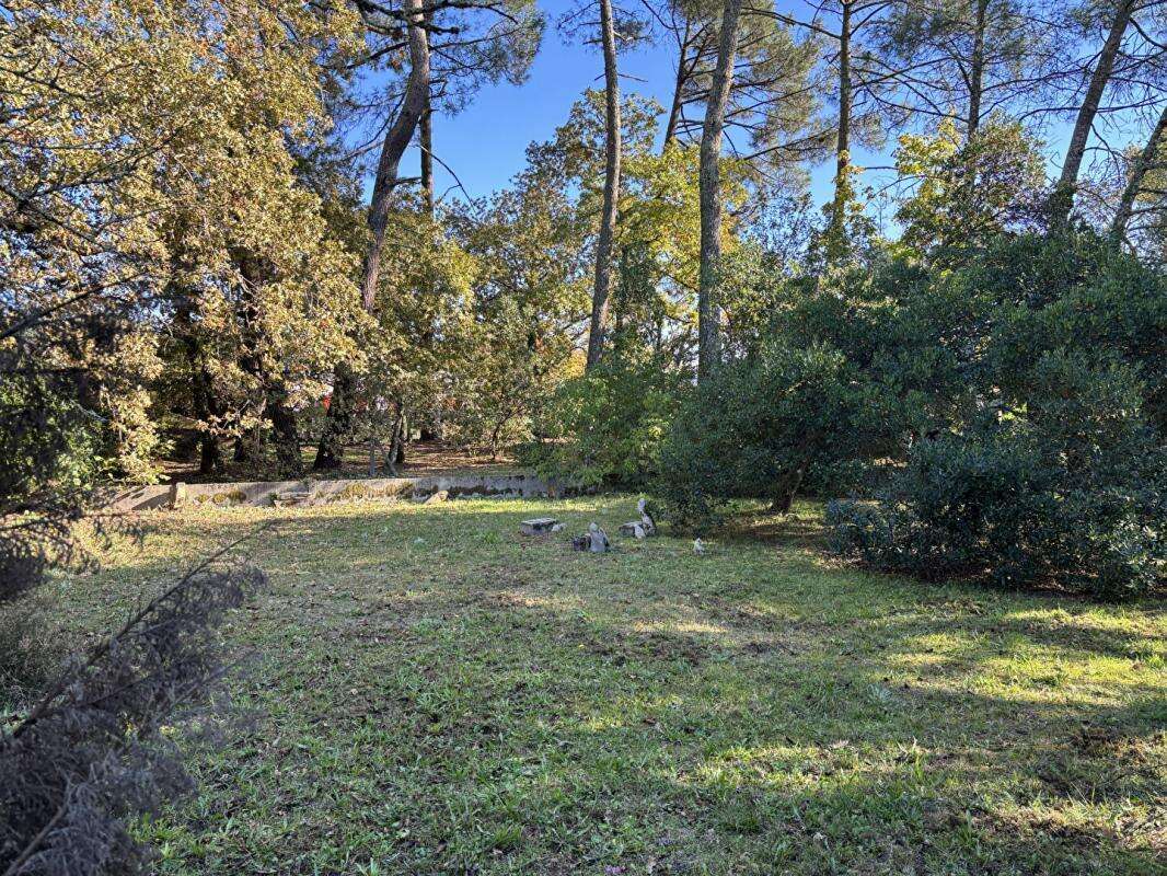Maison à SAINT-MEDARD-EN-JALLES