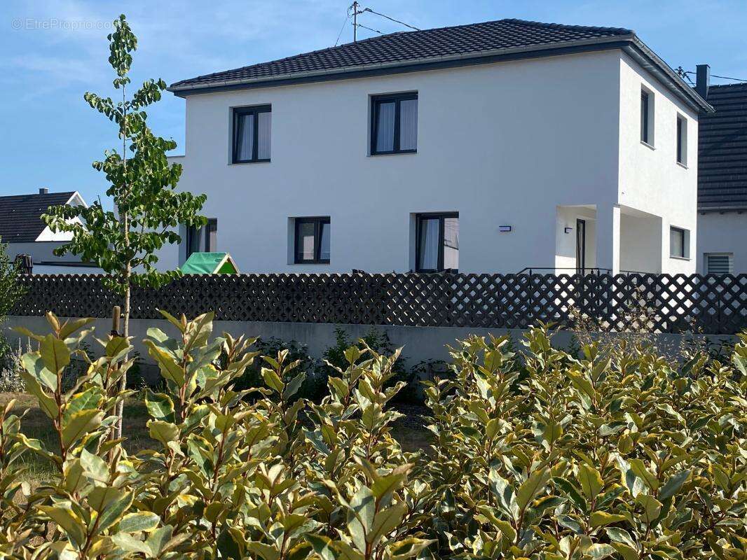 Maison à HAGUENAU