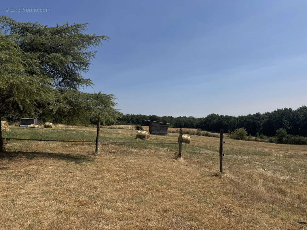 Propriété d'exception 203 m2 & Dépendances de 215 m2 - photo 23