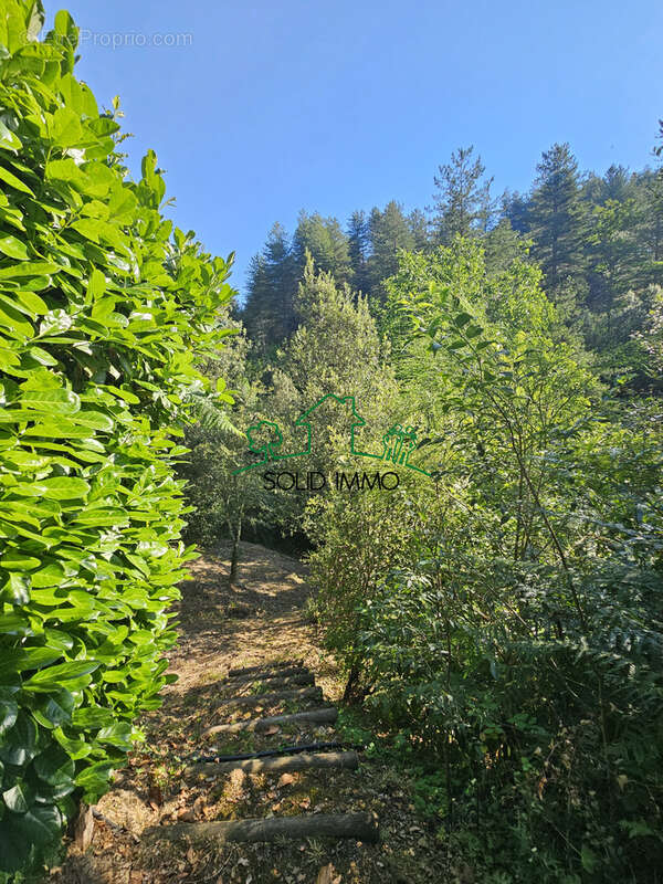 Charmante maison avec piscine dans un écrin de verdure - photo 21