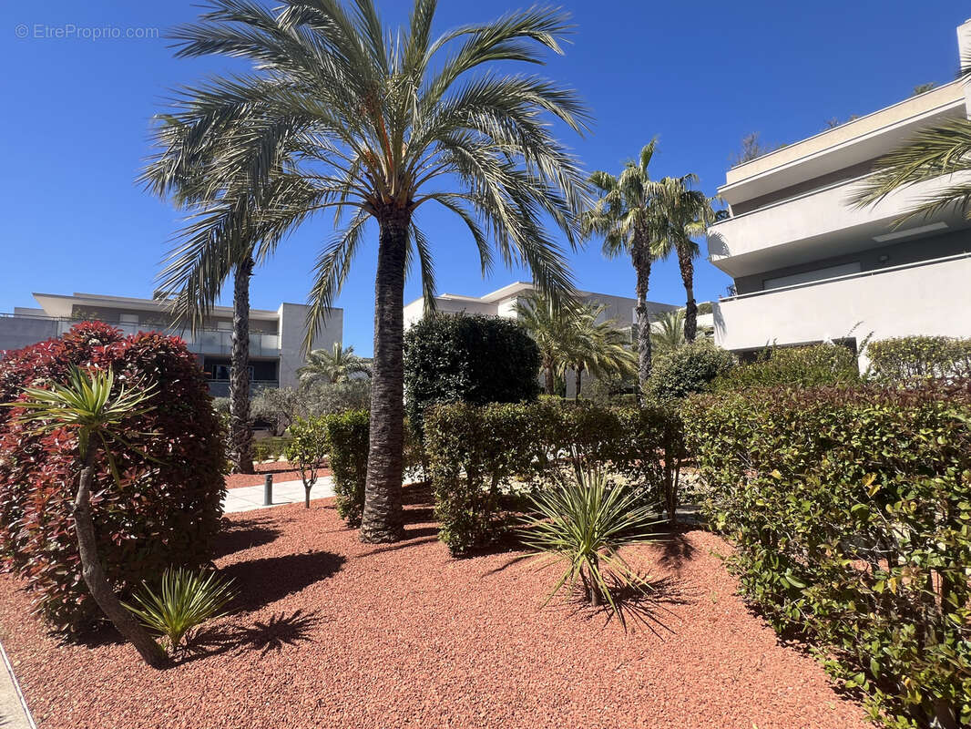 Appartement à LATTES