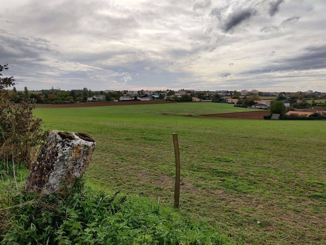 Terrain à NIORT