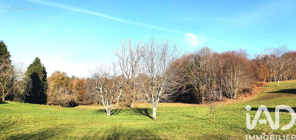 Photo 3 - Terrain à ALBUSSAC