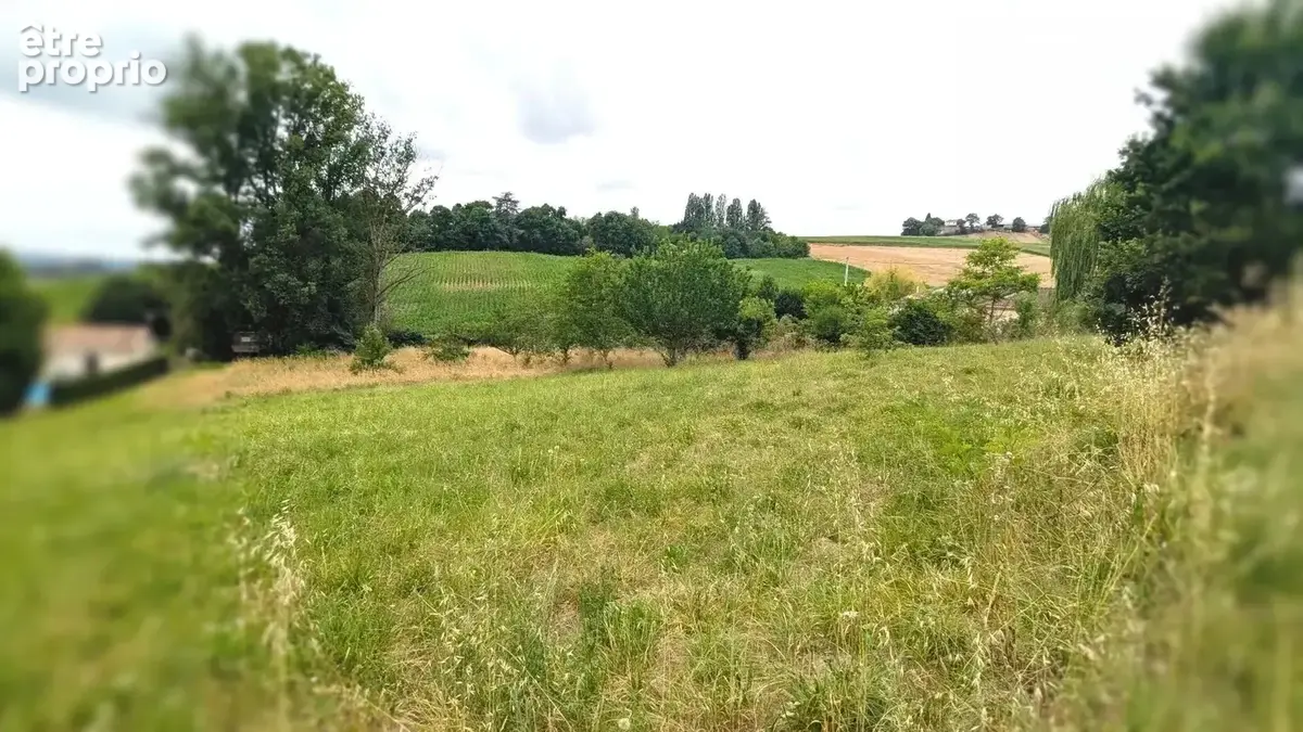 Un paysage champêtre avec des champs et des arbres sous un ciel nuageux.