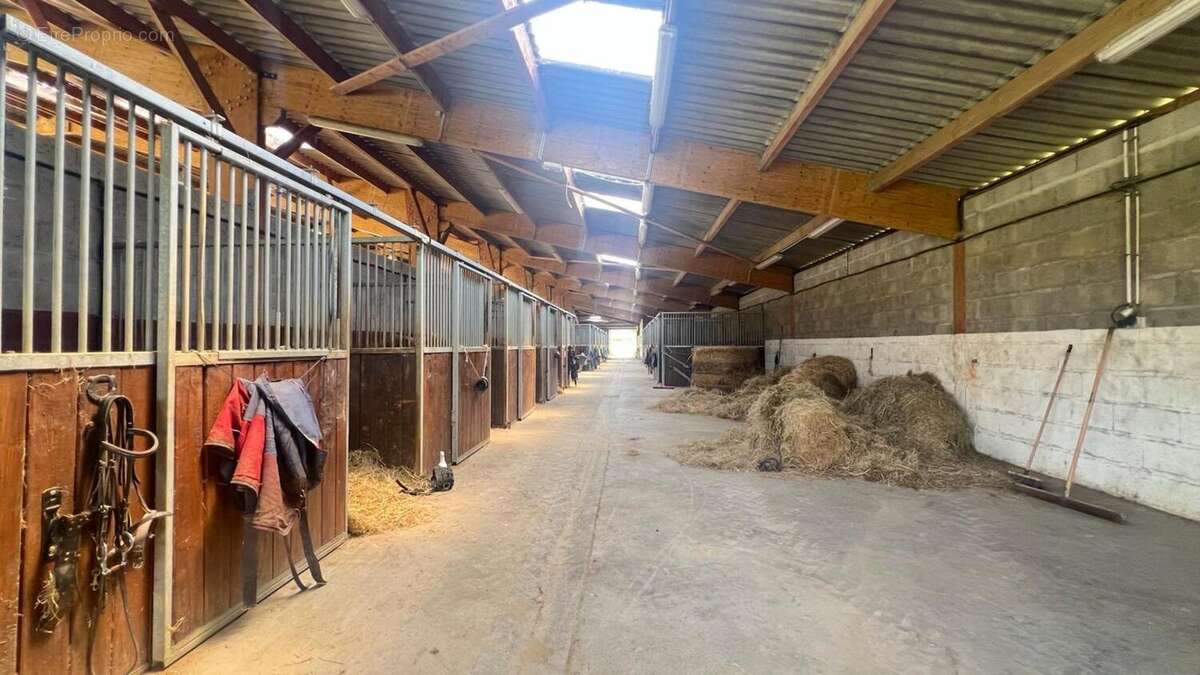 Photo 9 - Maison à VILLENEUVE-SUR-LOT