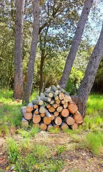 Maison familiale au coeur de la nature - photo 22