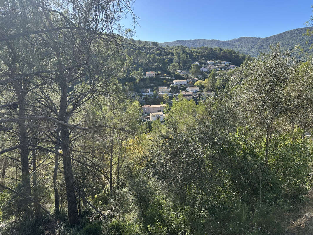 Terrain à SOLLIES-TOUCAS