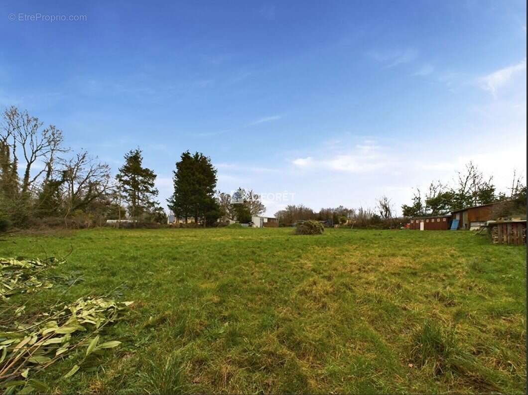 Terrain à DINEAULT
