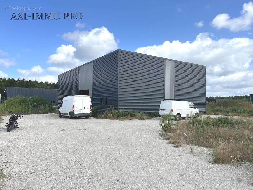 Bâtiment extérieur - Commerce à SANGUINET