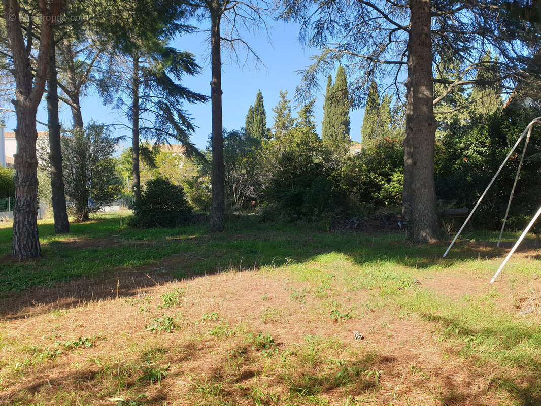 Maison à PORTIRAGNES