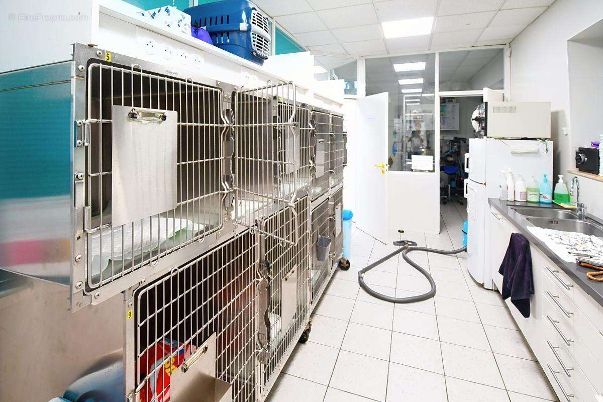 Clinique vétérinaire de 300 m² sur terrain de 1 194 m² – longwy - photo 20