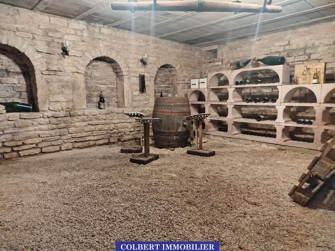 Un véritable coin de nature pour votre famille… avec plus de 8 000 m2 de terrain ! - photo 10