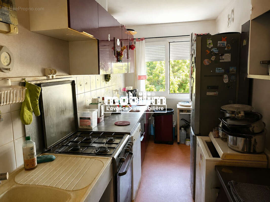 Cuisine