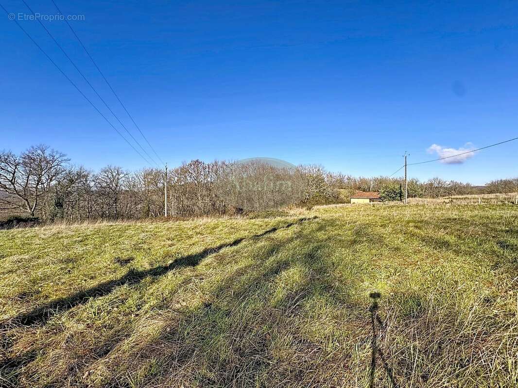 Terrain à VILLECOMTAL-SUR-ARROS