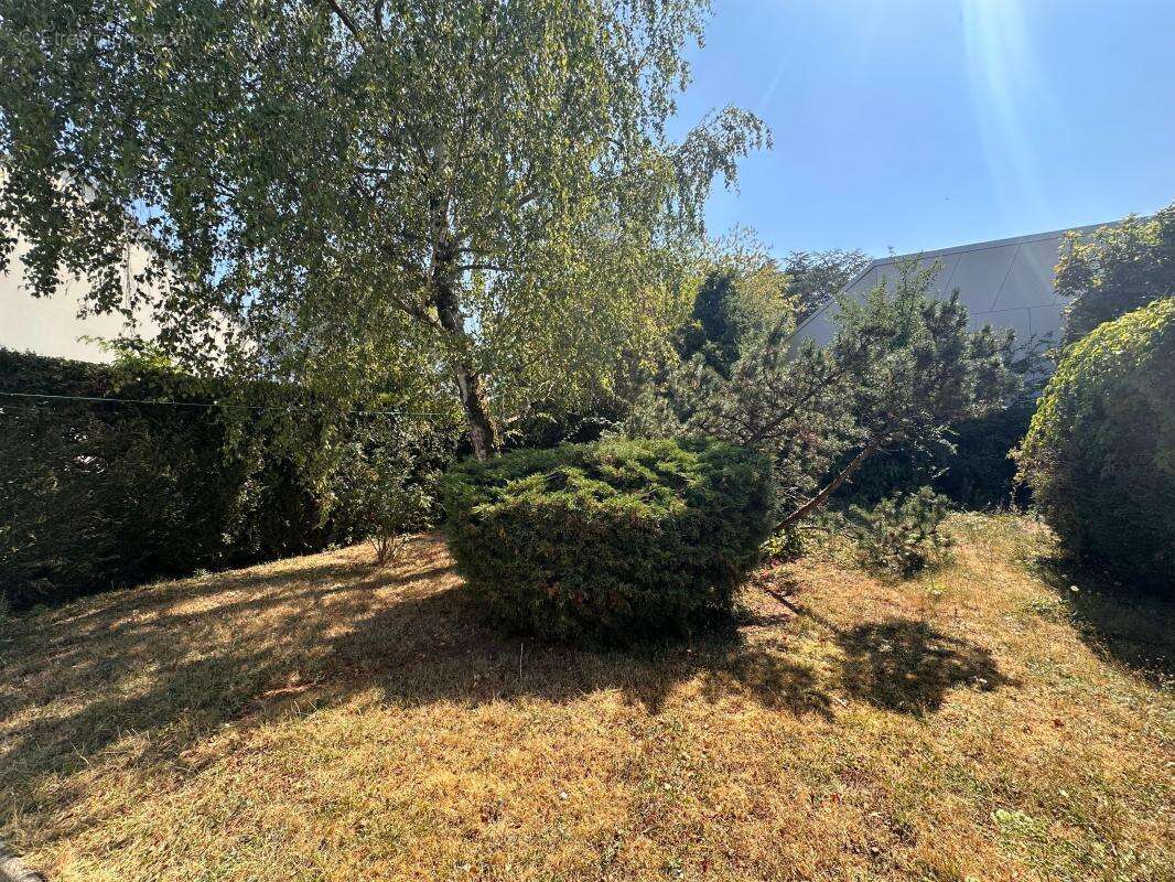 Maison T5 centre d'Arpajon - photo 20