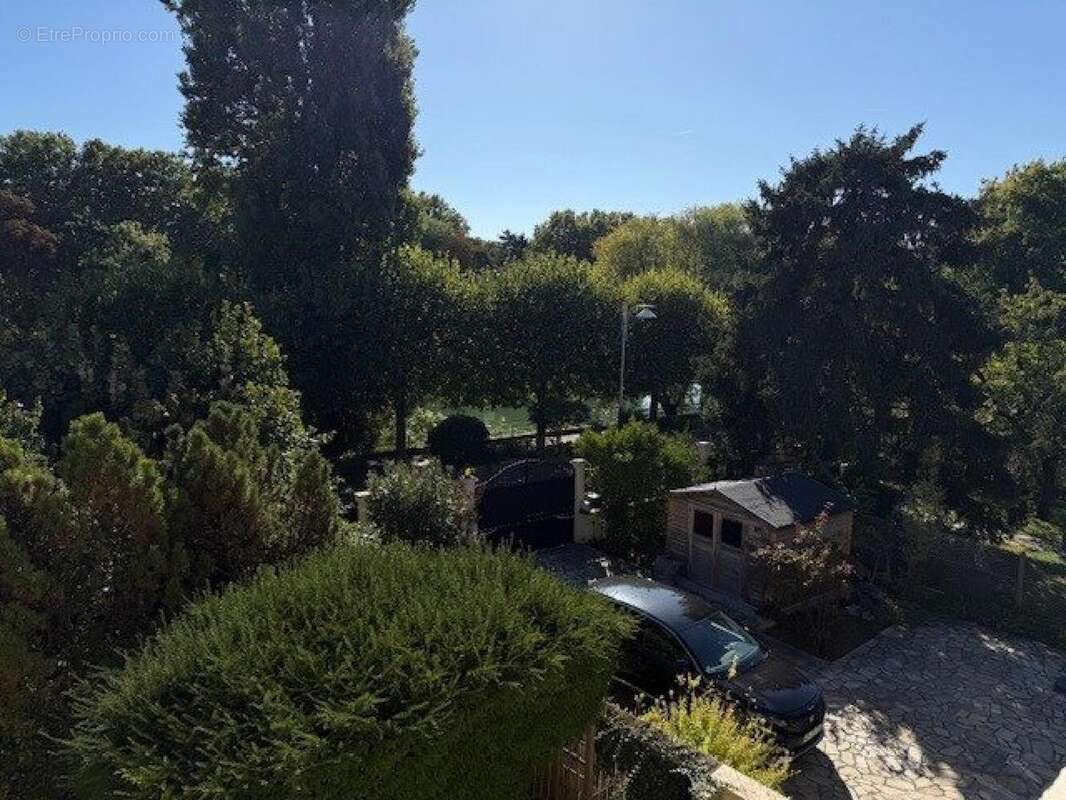 Photo 7 - Maison à CHAMPIGNY-SUR-MARNE